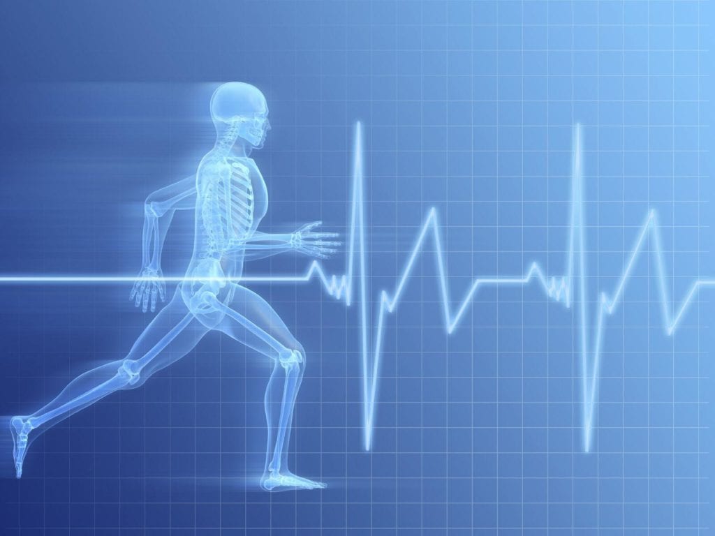 Daily Basis #84 – Boberski i cardio