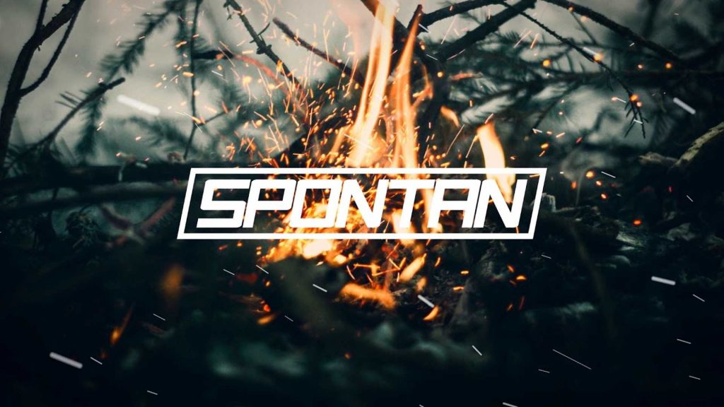 Daily Basis #456 – Boberski i spontan