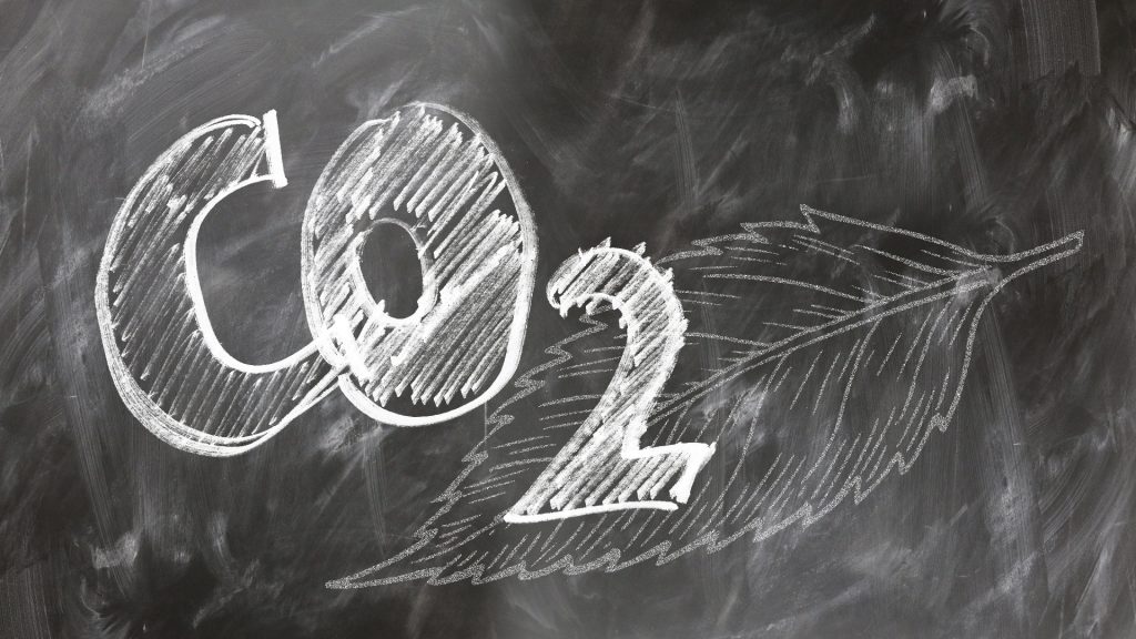 Daily Basis #542 – Boberski i CO2