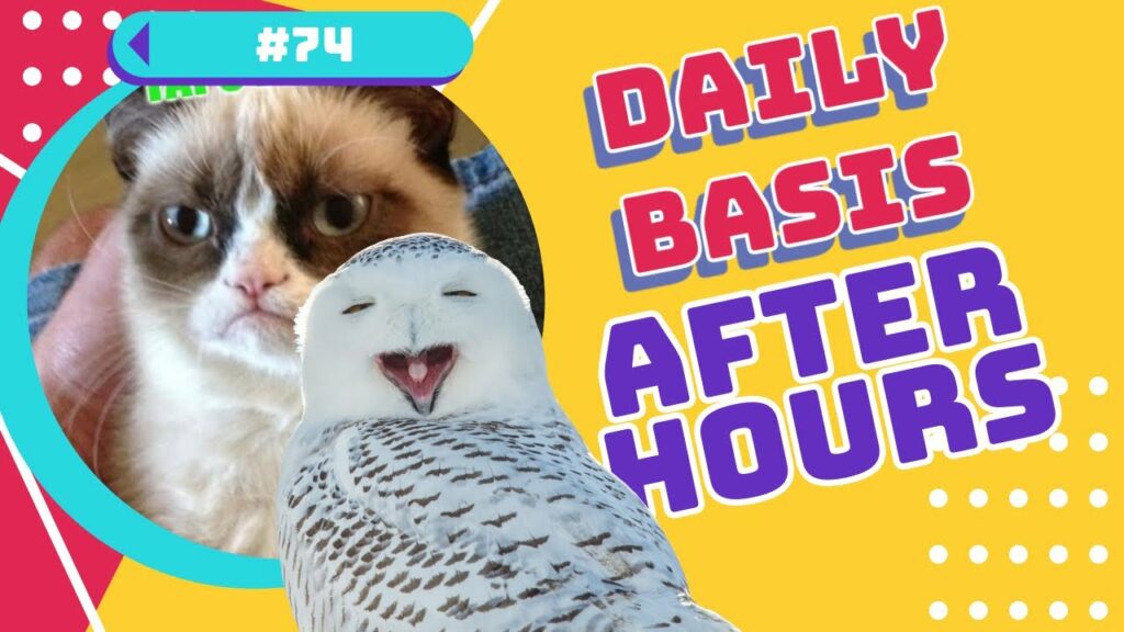 [YouTube] KRAINA NERDA – Daily Basis AFTER HOURS #74 – moto wyprawa boberskiego… #subtitles