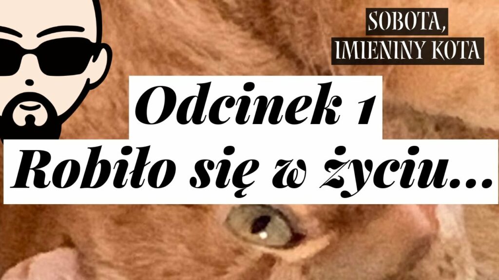 [YouTube] KRAINA NERDA – [Podcast] Sobota, imieniny kota #1 – Robiło się w życiu…
