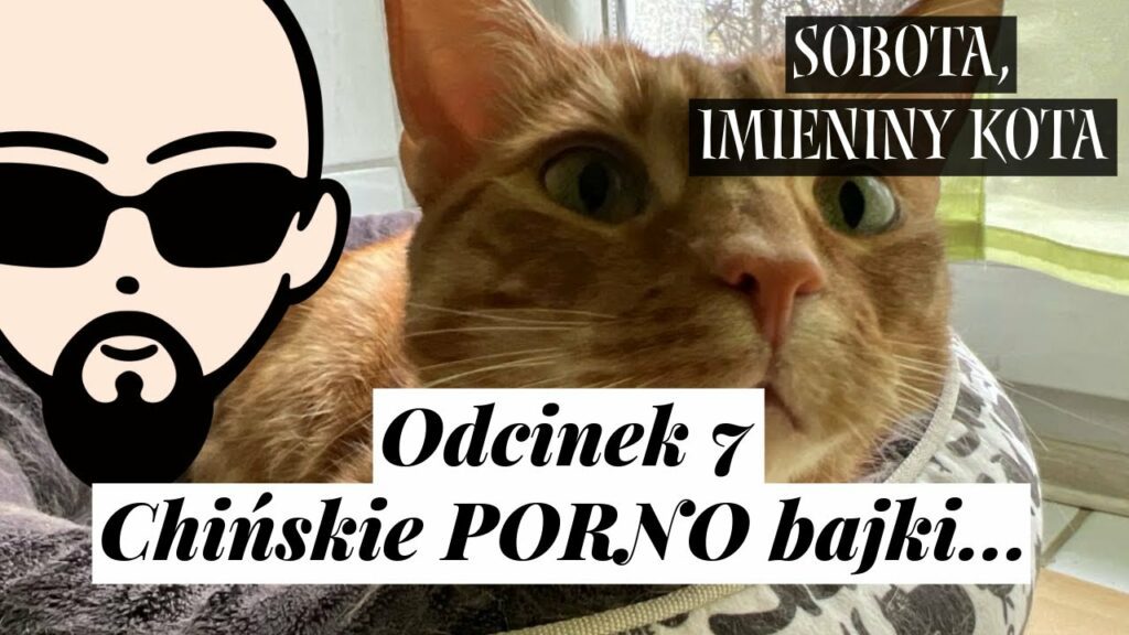 [YouTube] KRAINA NERDA – [Podcast] Sobota, imieniny kota #7 – Chińskie PORNO bajki…