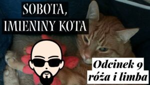 [YouTube] KRAINA NERDA – [Podcast] Sobota, imieniny kota #9 – róża i limba