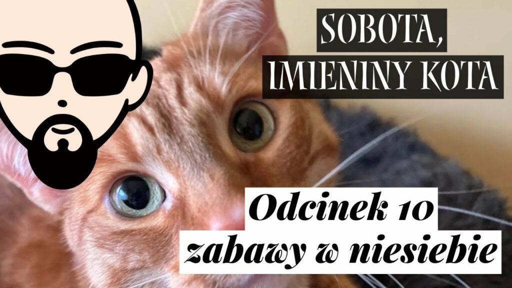 [YouTube] KRAINA NERDA – [Podcast] Sobota, imieniny kota #10 – zabawa w niesiebie