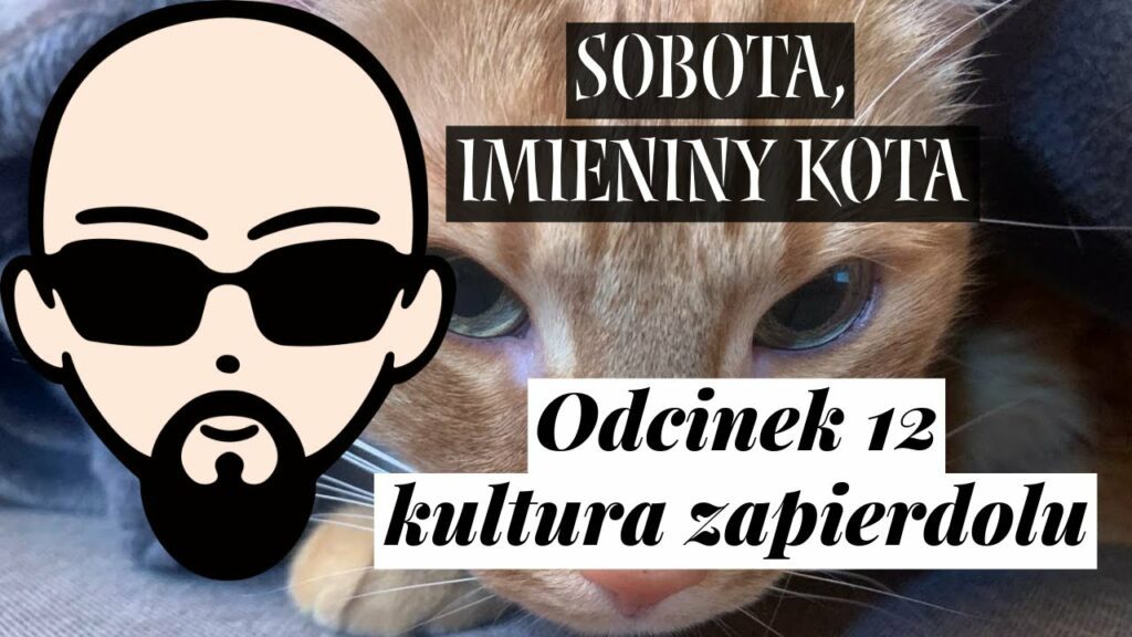 [YouTube] KRAINA NERDA – [Podcast] Sobota, imieniny kota #12 – kultura zap***lu